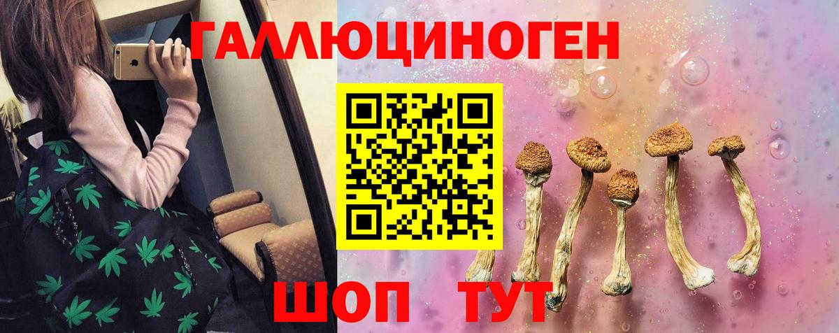 Галлюциногенные грибы мицелий  Псилоцибиновые грибы MAGIC MUSHROOMS  Заводоуковск  Вход с VPN 