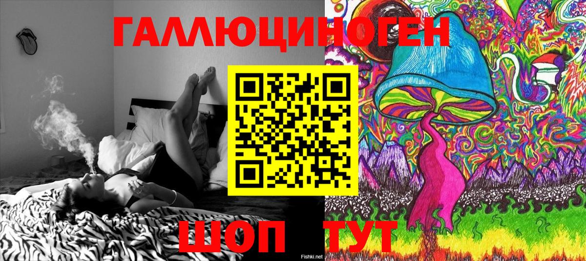 Галлюциногенные грибы Psilocybine cubensis Заводоуковск